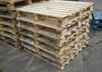 A1 Pallets and Timber Products Ltd 1018027 Image 6