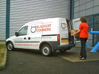 Blackcat Couriers and Automove Service 1013032 Image 9