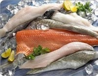 Elite Fish Supplies 1016361 Image 1