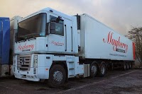 Mayberry International Transport Ltd 1016971 Image 0