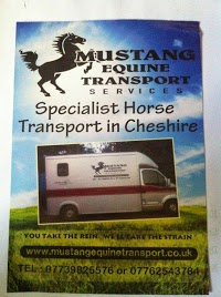Mustang Equine Transport 1006581 Image 1