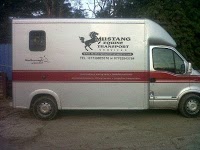 Mustang Equine Transport 1006581 Image 3