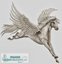 Pegasus Courier Solutions Ltd 1015700 Image 0