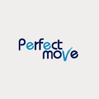 Perfect Move 1012245 Image 1