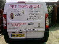 Pet Care Courier service 1028736 Image 5