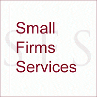 Small Firms Services 1009839 Image 2