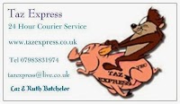 Taz Express Courier Service 1016311 Image 0