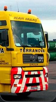 Terranova Group 1014952 Image 4